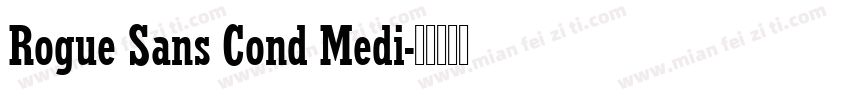 Rogue Sans Cond Medi字体转换